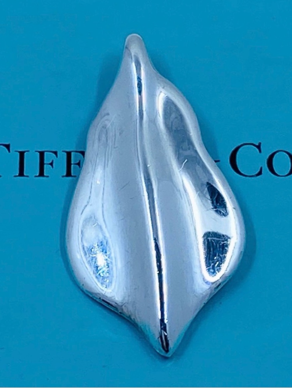 Tiffany & Co. Sculptured Silver Leaf Pendant